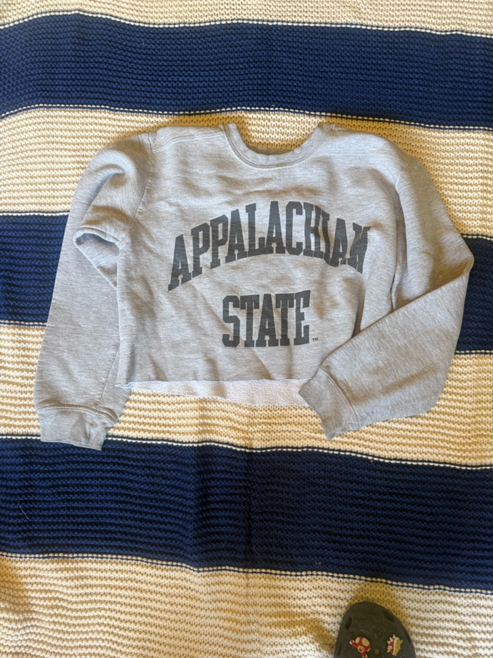 Gildan Gray Crewneck Sweatshirt with Blue Label